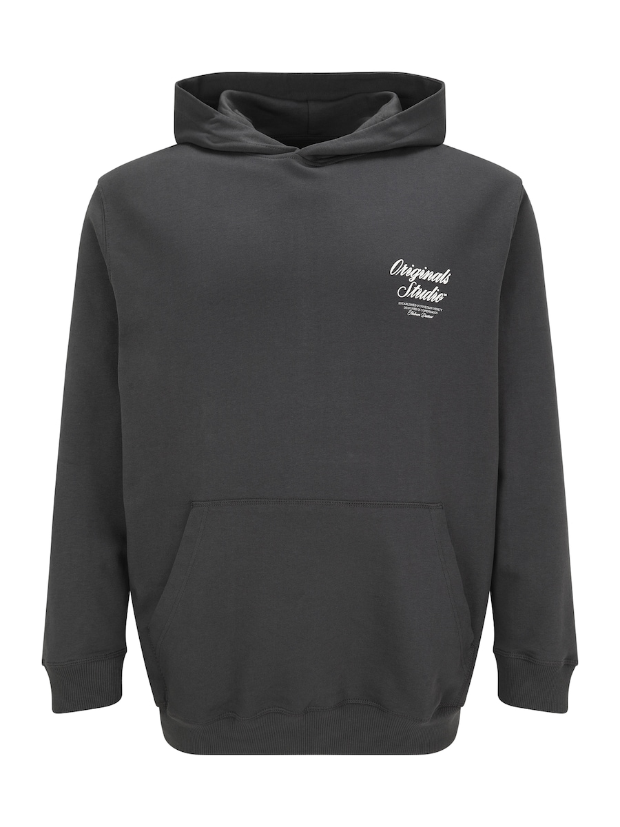 Толстовка Jack & Jones Plus JORNORREBRO, Basalt Grey
Толстовка Jack & Jones Plus JORNORREBRO, Basalt Grey