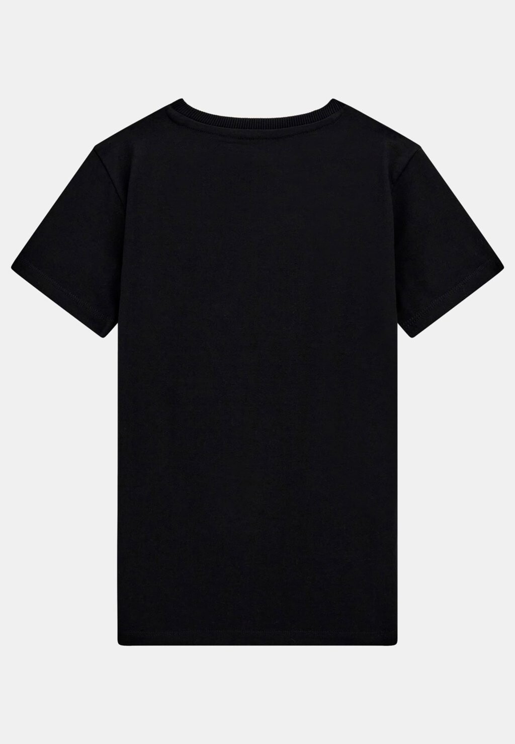 Футболка LOGO TRIANGULAIRE FRONTAL Guess, черный
Футболка LOGO TRIANGULAIRE FRONTAL Guess, черный