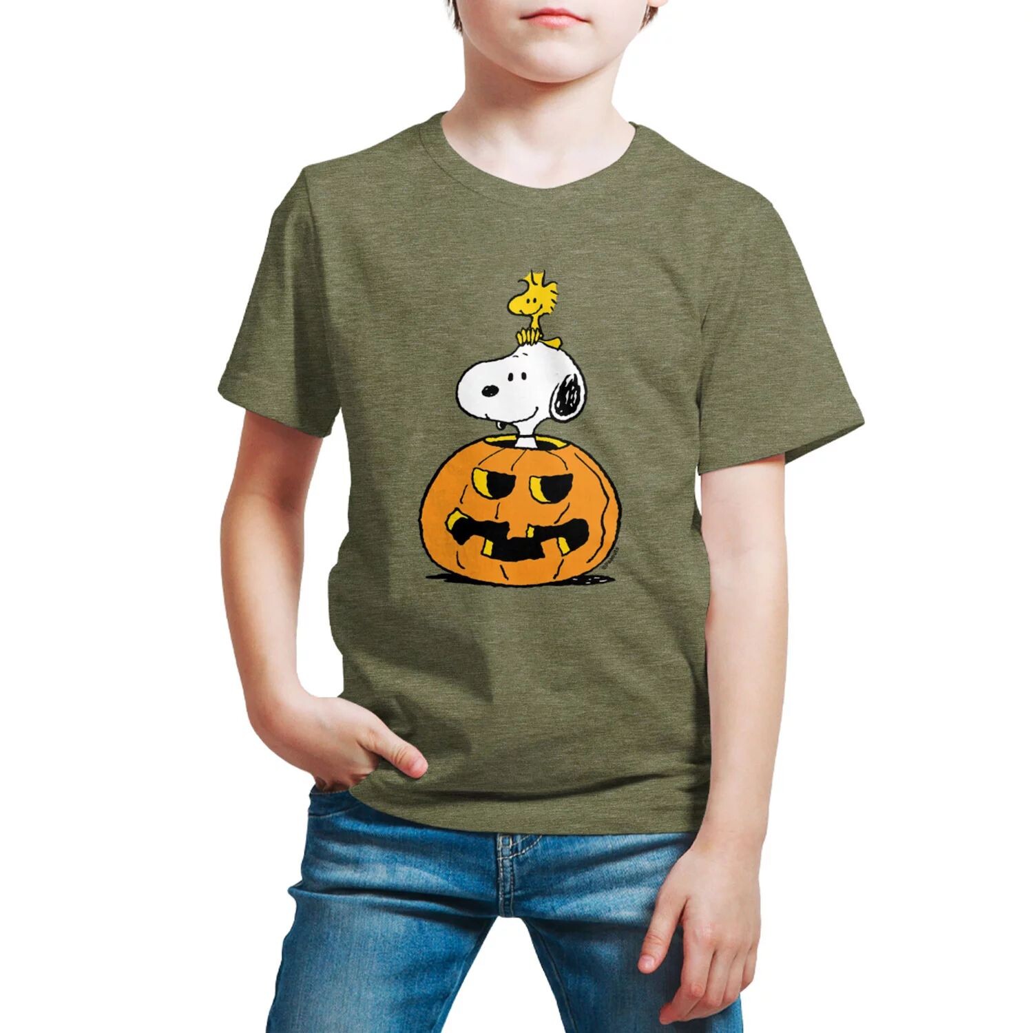 Футболка Peanuts Snoopy Woodstock для мальчиков 8–20 лет на Хэллоуин Licensed Character, зеленый 
Футболка Peanuts Snoopy Woodstock для мальчиков 8–20 лет на Хэллоуин Licensed Character, зеленый