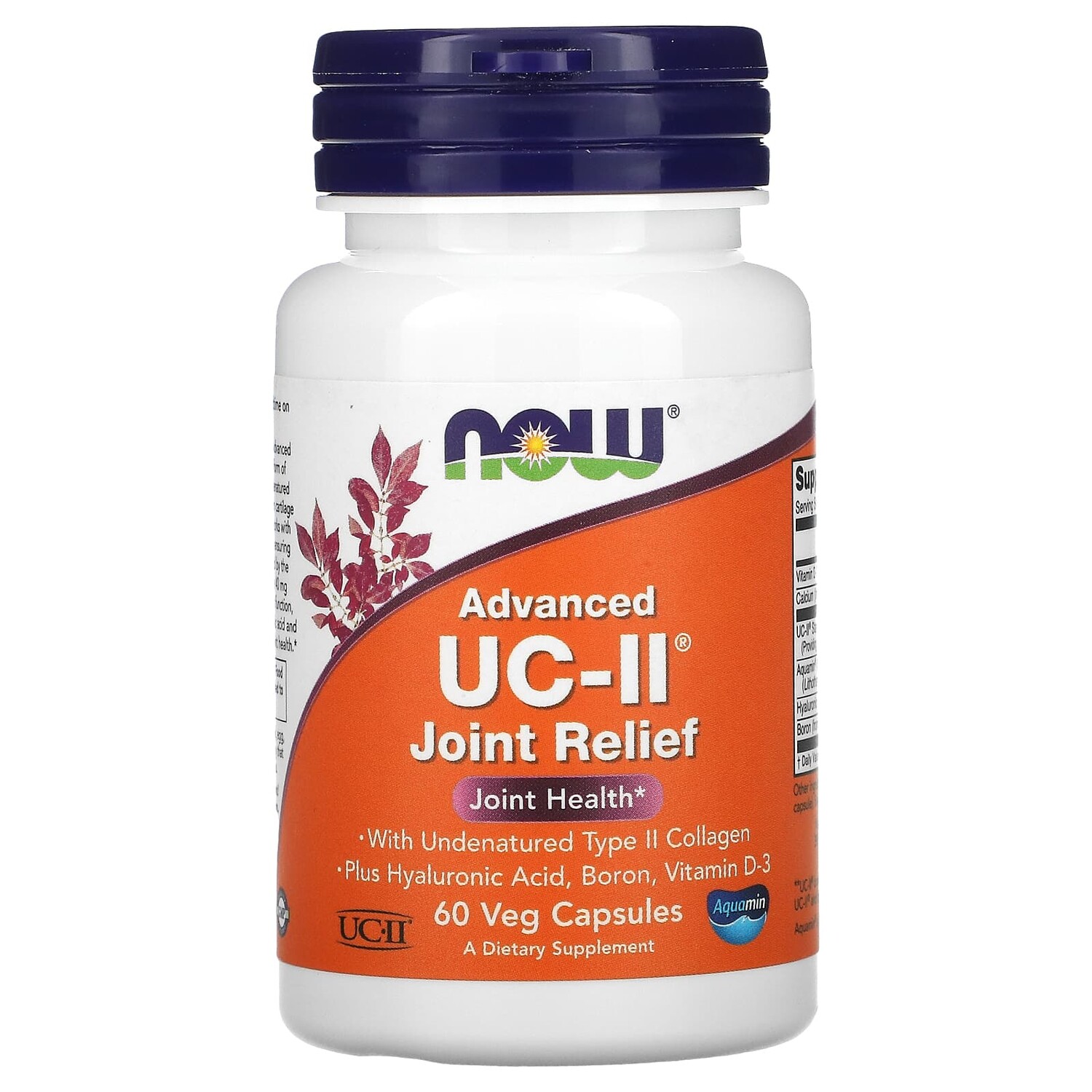 Now Foods Advanced UC-II Joint Relief 60 Veg Capsules
Now Foods Advanced UC-II Joint Relief 60 Veg Capsules
