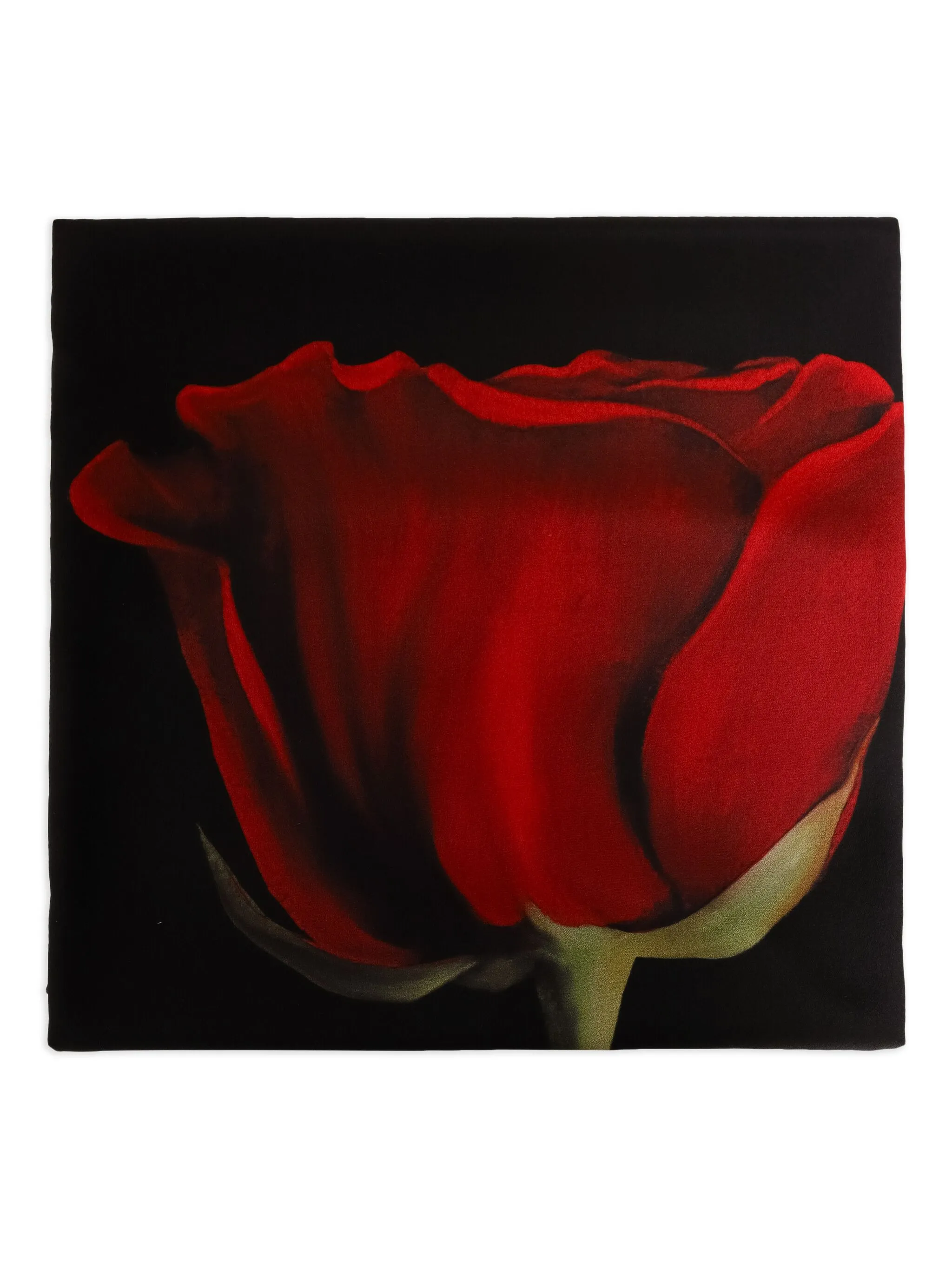 Шелковый платок Osklen, черный
Шелковый платок Osklen, черный