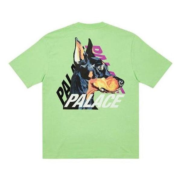 Футболка p-3-k-9 t-shirt 'pistachio' Palace, зеленый
Футболка p-3-k-9 t-shirt 'pistachio' Palace, зеленый