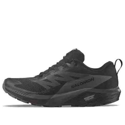 Кроссовки SALOMON Sense Ride 5 GTX 'Black' 471472 / L47147200
Кроссовки SALOMON Sense Ride 5 GTX 'Black' 471472 / L47147200