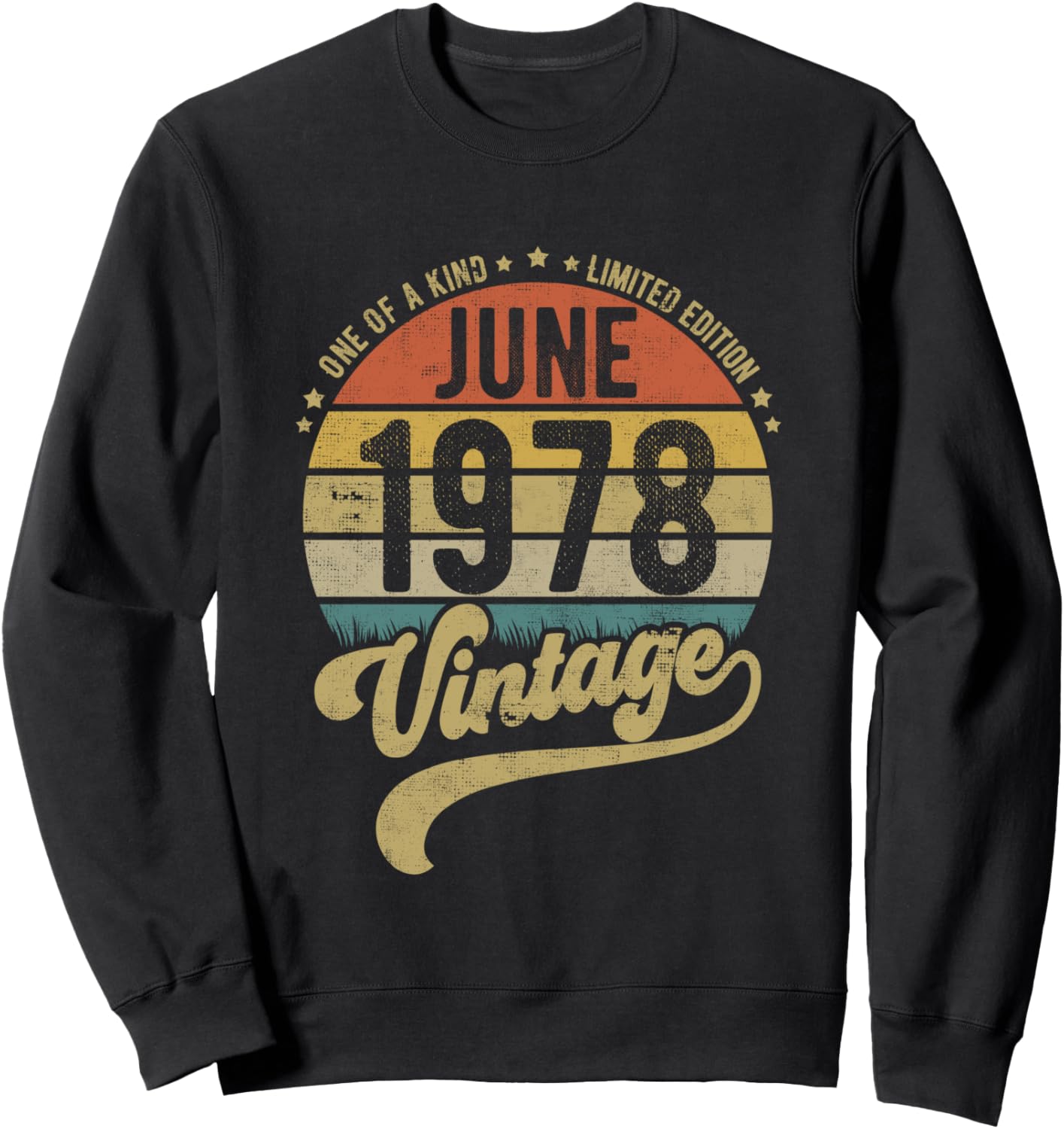 Винтажная толстовка с надписью «43-й день рождения, июнь 1978 года» Vintage Retro June Bday Gifts Beetenityltd, черный
Винтажная толстовка с надписью «43-й день рождения, июнь 1978 года» Vintage Retro June Bday Gifts Beetenityltd, черный