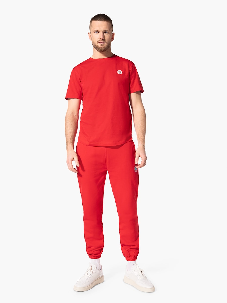 Зауженные брюки FC BAYERN MÜNCHEN Essential, красный
Зауженные брюки FC BAYERN MÜNCHEN Essential, красный