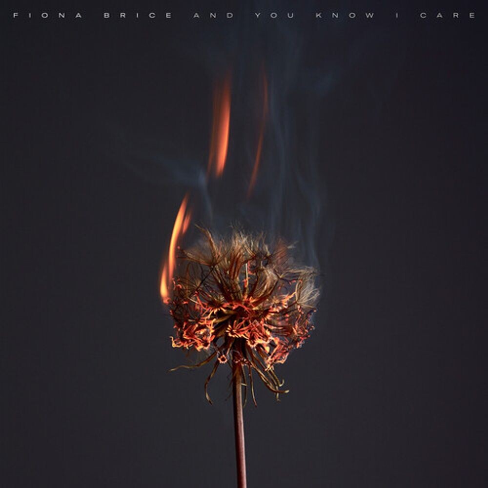 Виниловая пластинка LP And You Know I Care - Fiona Brice
Виниловая пластинка LP And You Know I Care - Fiona Brice