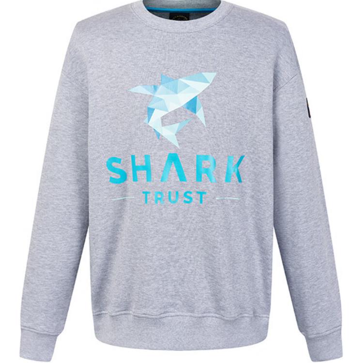 Paul & Shark Яхтенный свитшот мужской серый
Paul & Shark Яхтенный свитшот мужской серый