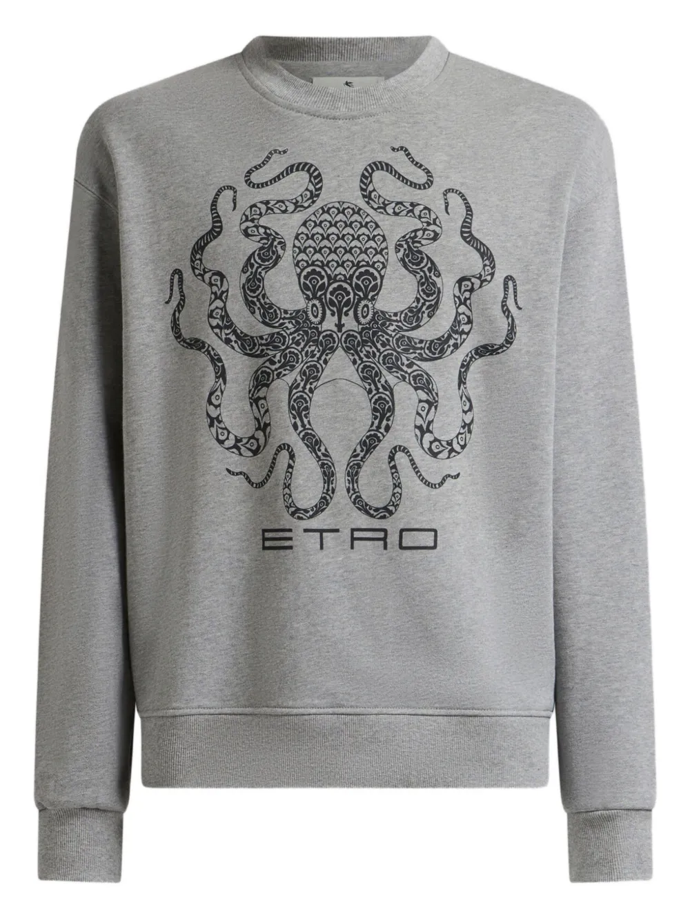 Толстовка с логотипом ETRO, серый
Толстовка с логотипом ETRO, серый