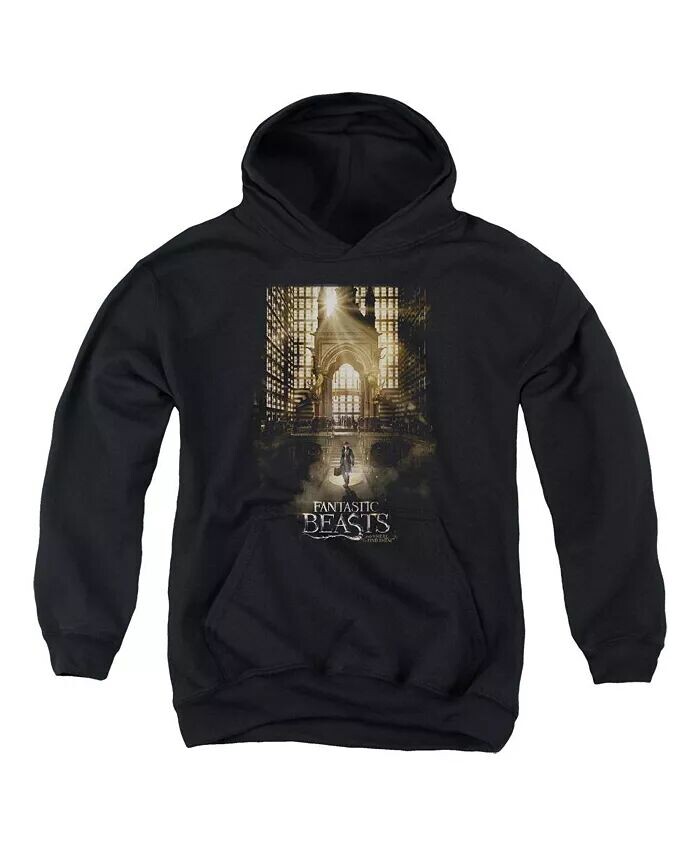 Толстовка с капюшоном и принтом «Молодежный постер» Fantastic Beasts, черный
Толстовка с капюшоном и принтом «Молодежный постер» Fantastic Beasts, черный