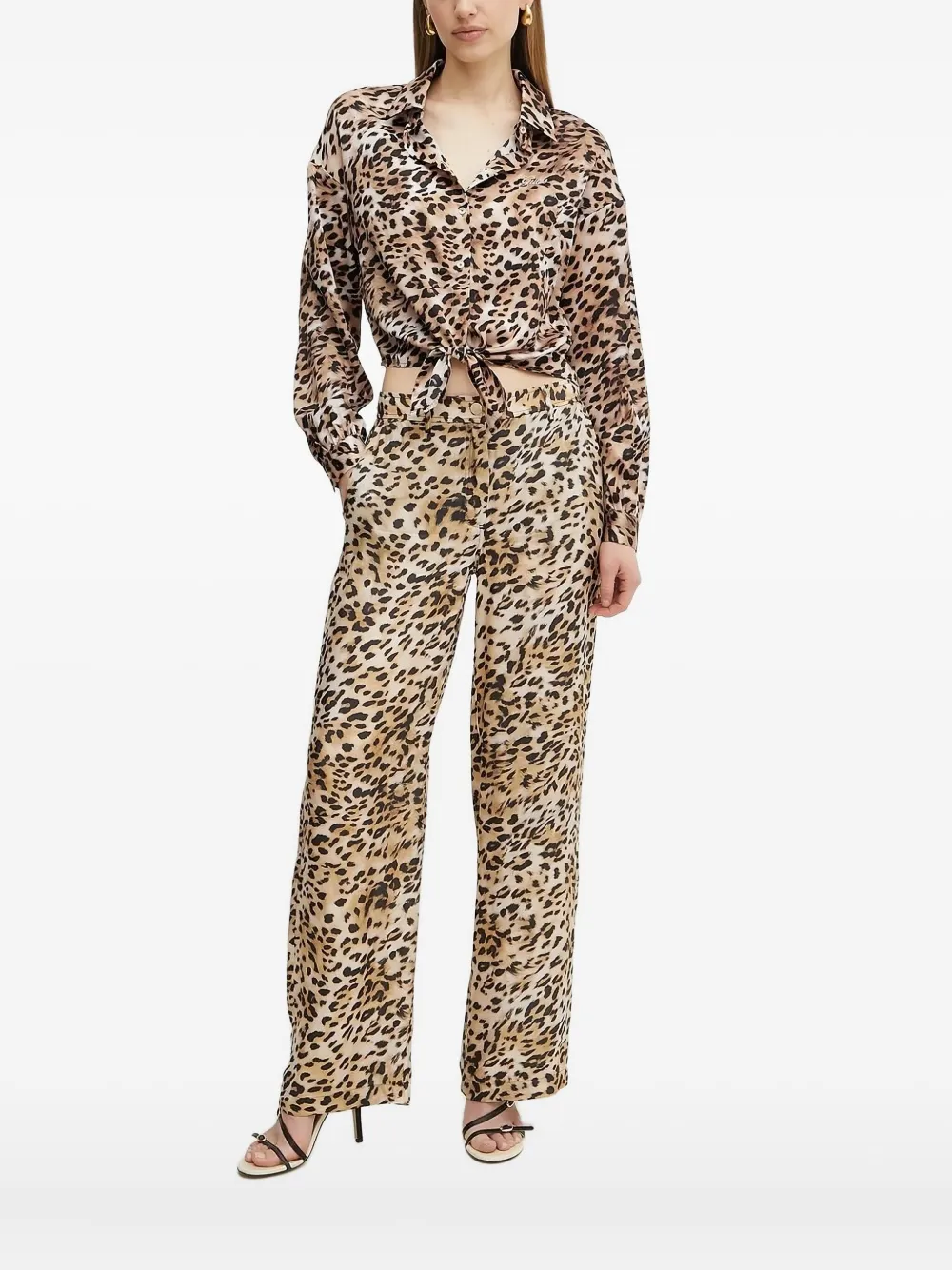 Блузка с леопардовым принтом и завязками спереди GUESS USA, коричневый
Блузка с леопардовым принтом и завязками спереди GUESS USA, коричневый