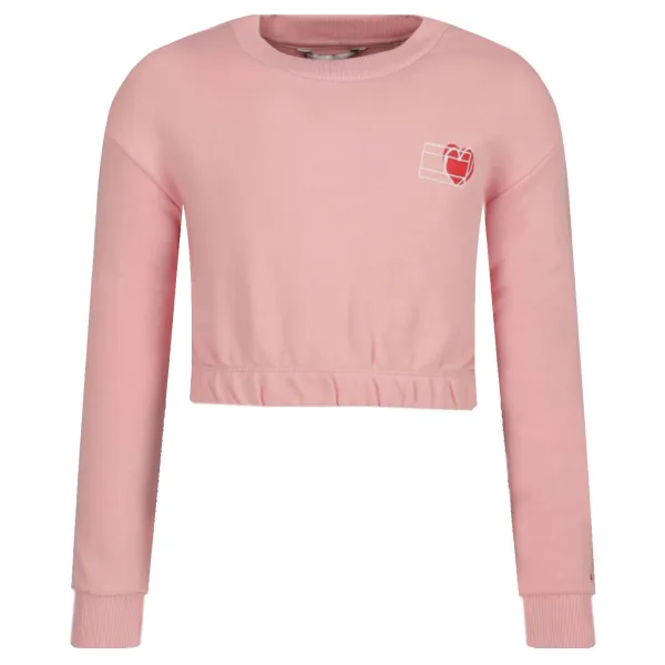 Укороченный свитшот ко Дню святого Валентина Tommy Hilfiger, розовый
Укороченный свитшот ко Дню святого Валентина Tommy Hilfiger, розовый