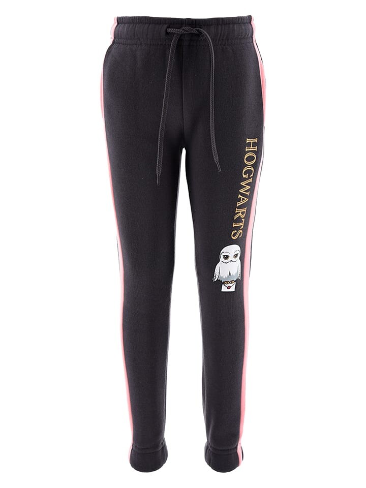 Спортивные штаны Harry Potter Sweathose Harry Potter, антрацит
Спортивные штаны Harry Potter Sweathose Harry Potter, антрацит