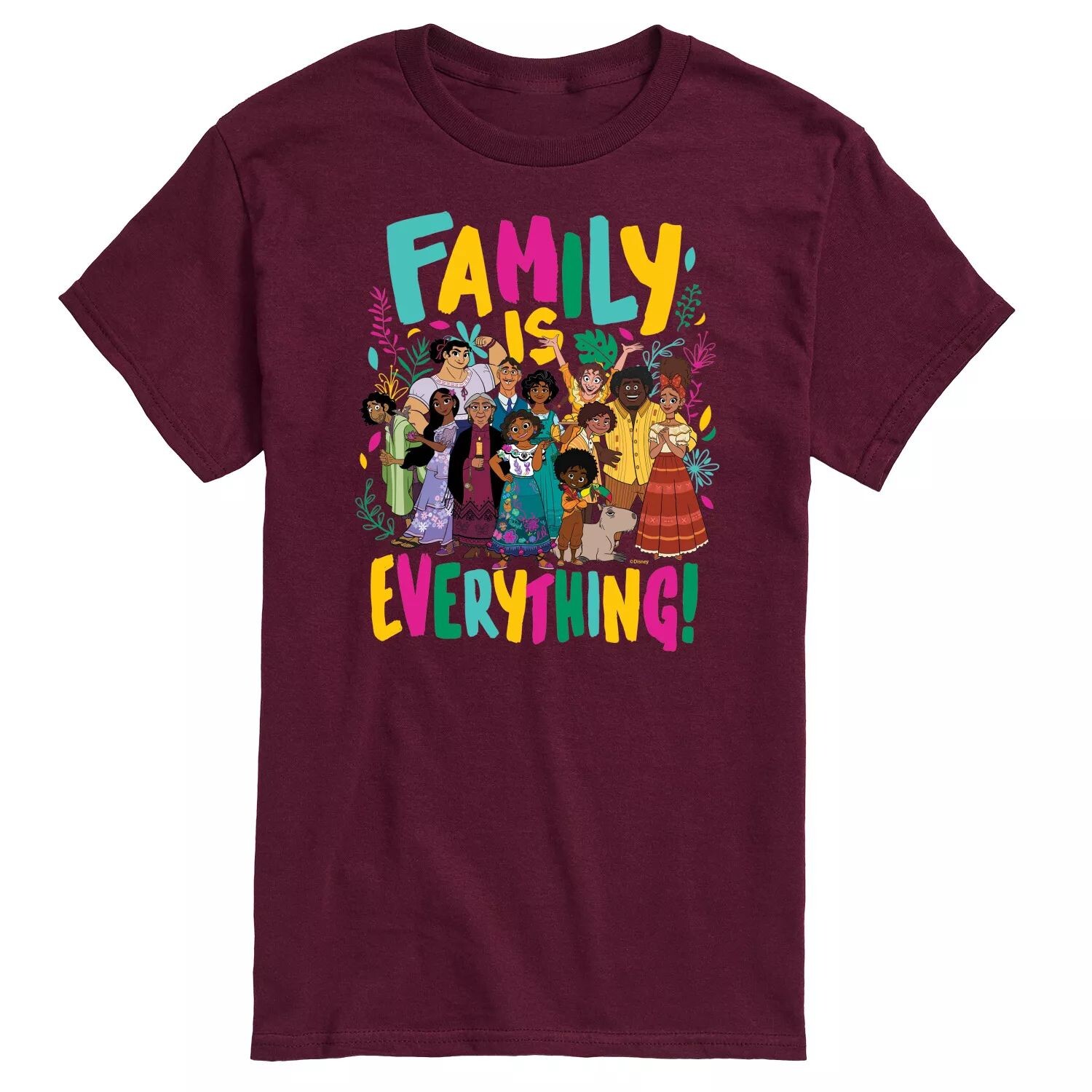 Мужская футболка Disney's Encanto Family Everything с графическим рисунком Licensed Character
Мужская футболка Disney's Encanto Family Everything с графическим рисунком Licensed Character