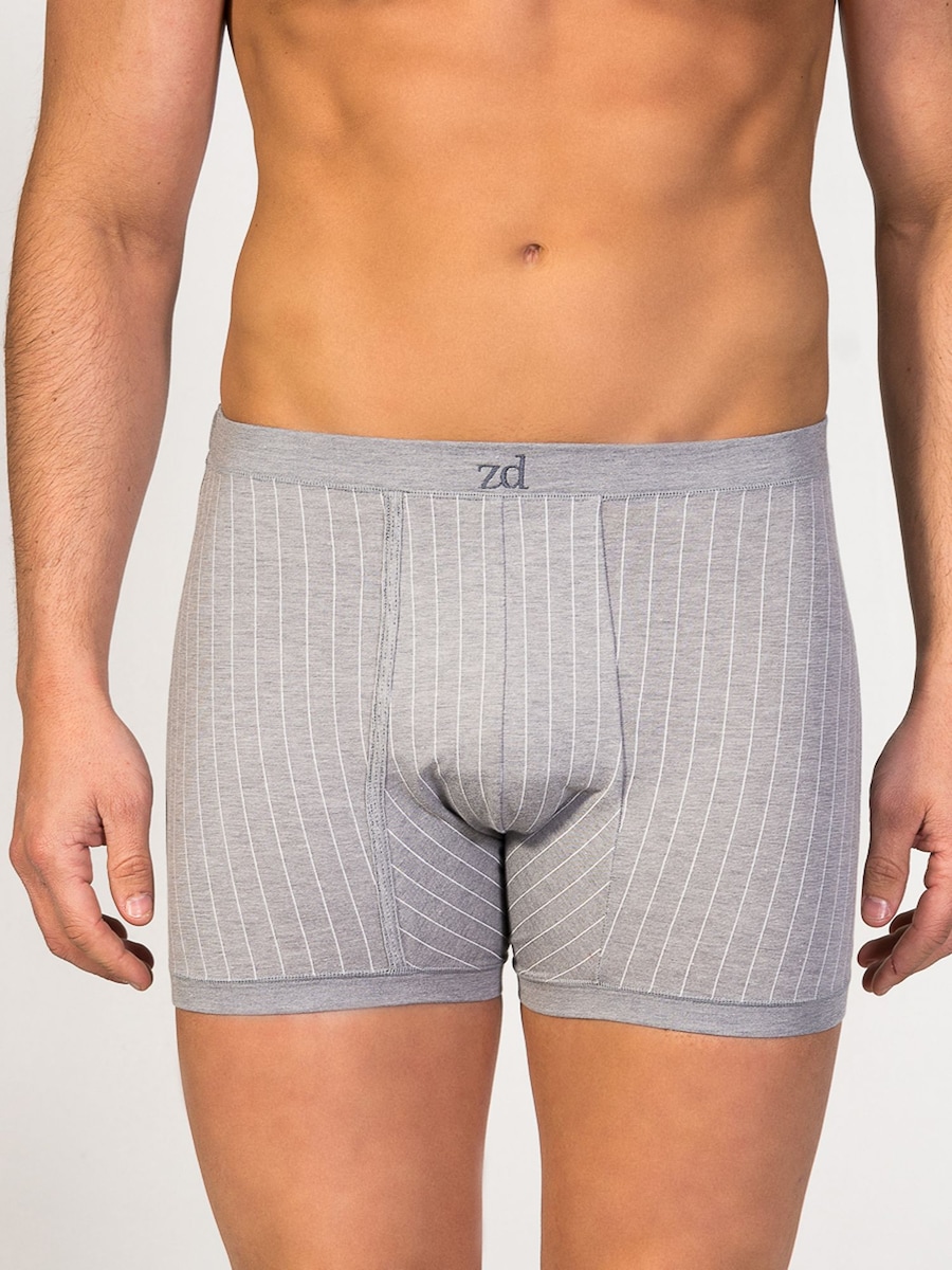 Боксеры zd ZERO DEFECTS Helios prinstriped fly front boxer, серый
Боксеры zd ZERO DEFECTS Helios prinstriped fly front boxer, серый