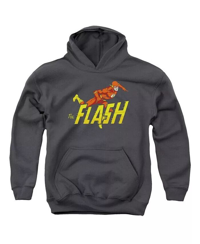 Dc Youth DC Comics Flash 8 Bit Flash Pull Over Hoodie / Толстовка с капюшоном, черный
Dc Youth DC Comics Flash 8 Bit Flash Pull Over Hoodie / Толстовка с капюшоном, черный