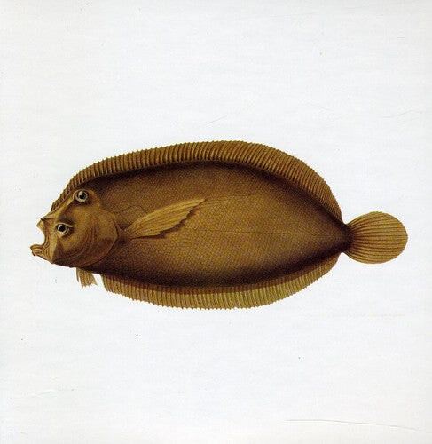 CD диск Blue Water White Death: Blue Water White Death
CD диск Blue Water White Death: Blue Water White Death