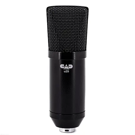 Конденсаторный микрофон CAD U29 Cardioid USB Condenser Microphone
Конденсаторный микрофон CAD U29 Cardioid USB Condenser Microphone