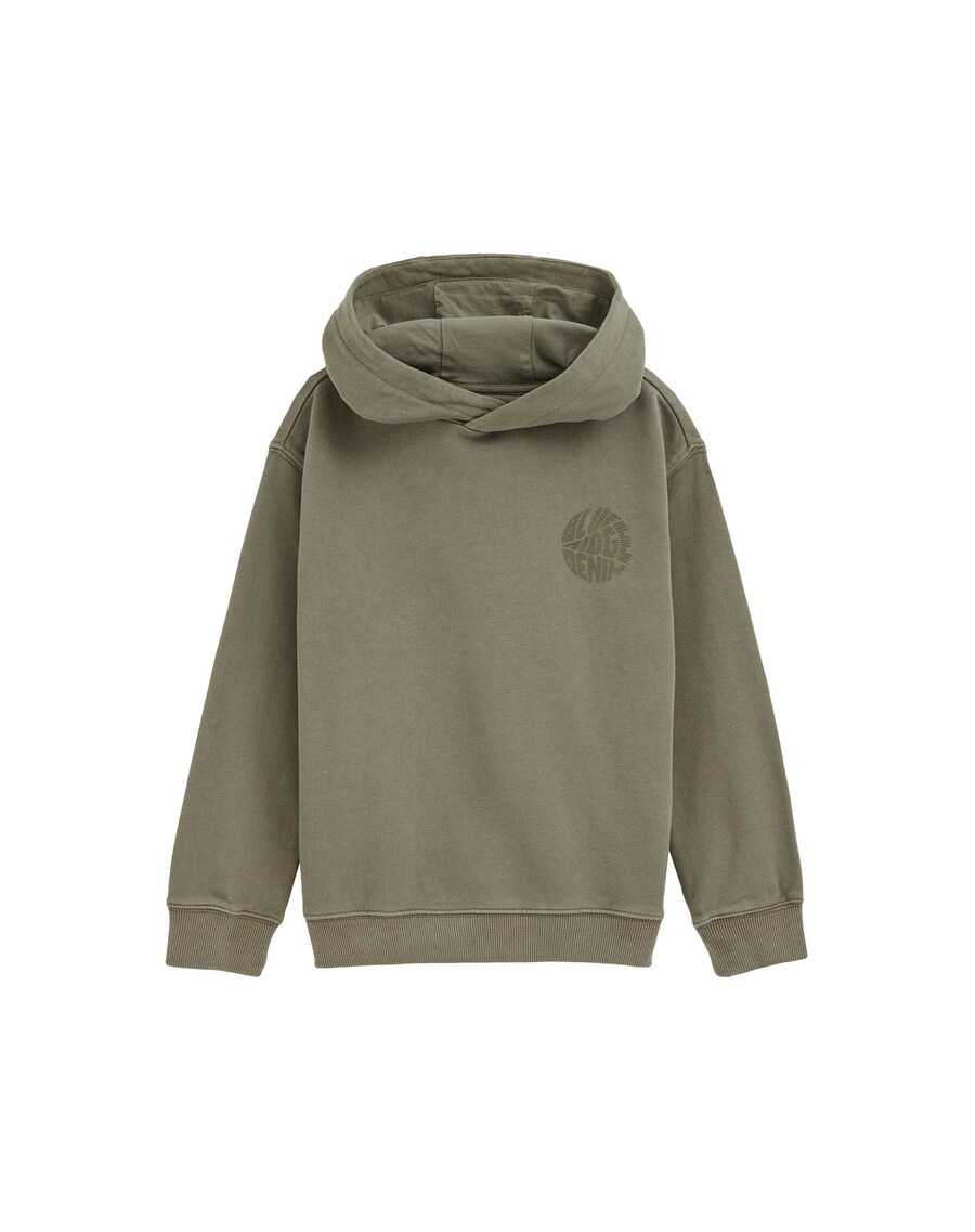 Толстовка WE Fashion, цвет Green/Dark green
Толстовка WE Fashion, цвет Green/Dark green