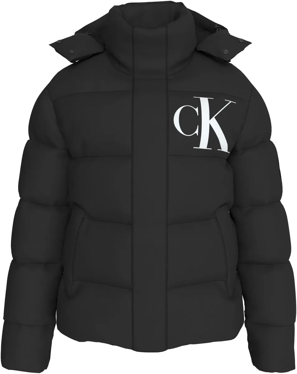 Куртка Calvin Klein Jeans "ESSENTIALS NON DOWN JACKET", с капюшоном, с логотипом, черный
Куртка Calvin Klein Jeans "ESSENTIALS NON DOWN JACKET", с капюшоном, с логотипом, черный