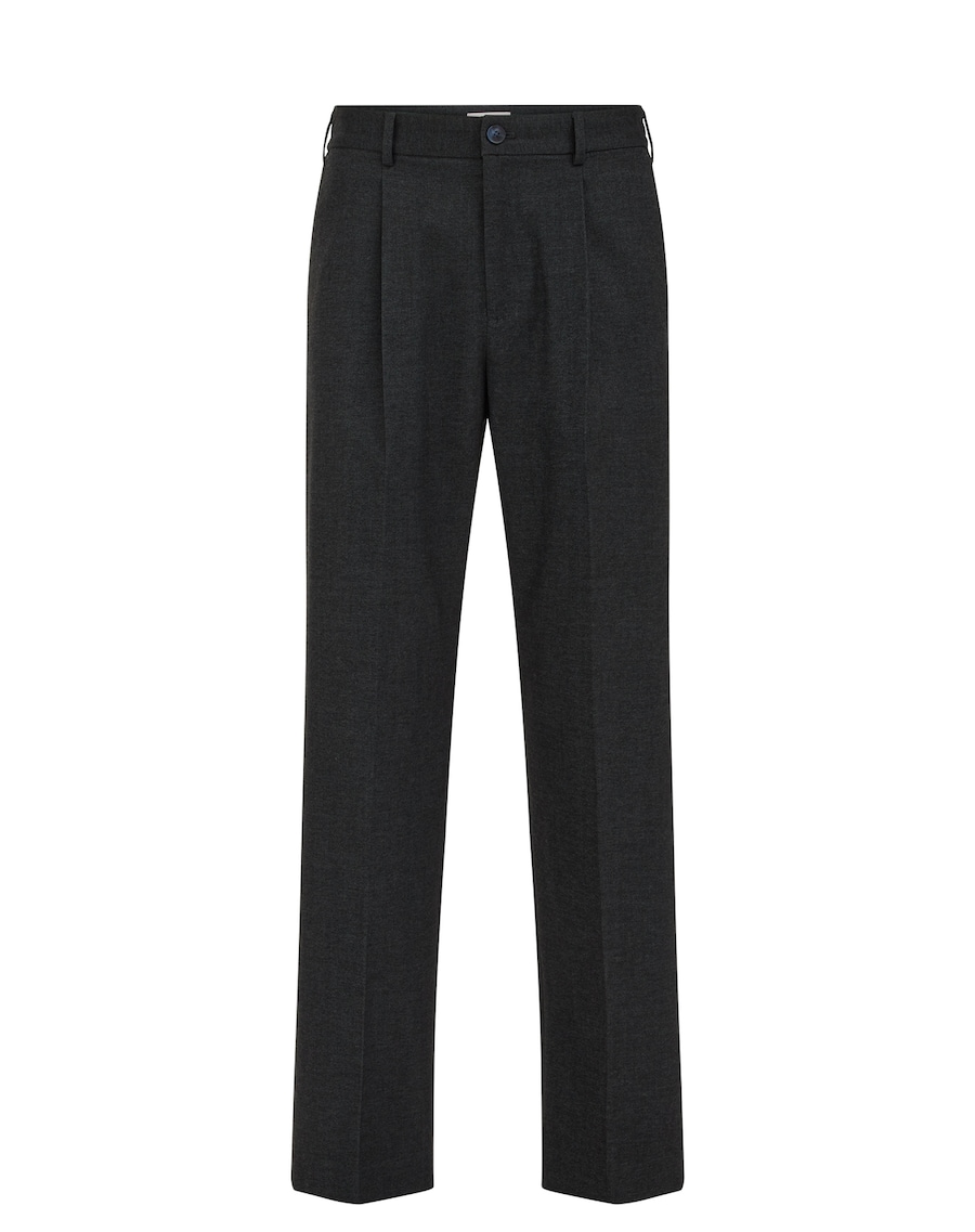 Свободные брюки со складками спереди WE Fashion, темно-серый
Свободные брюки со складками спереди WE Fashion, темно-серый