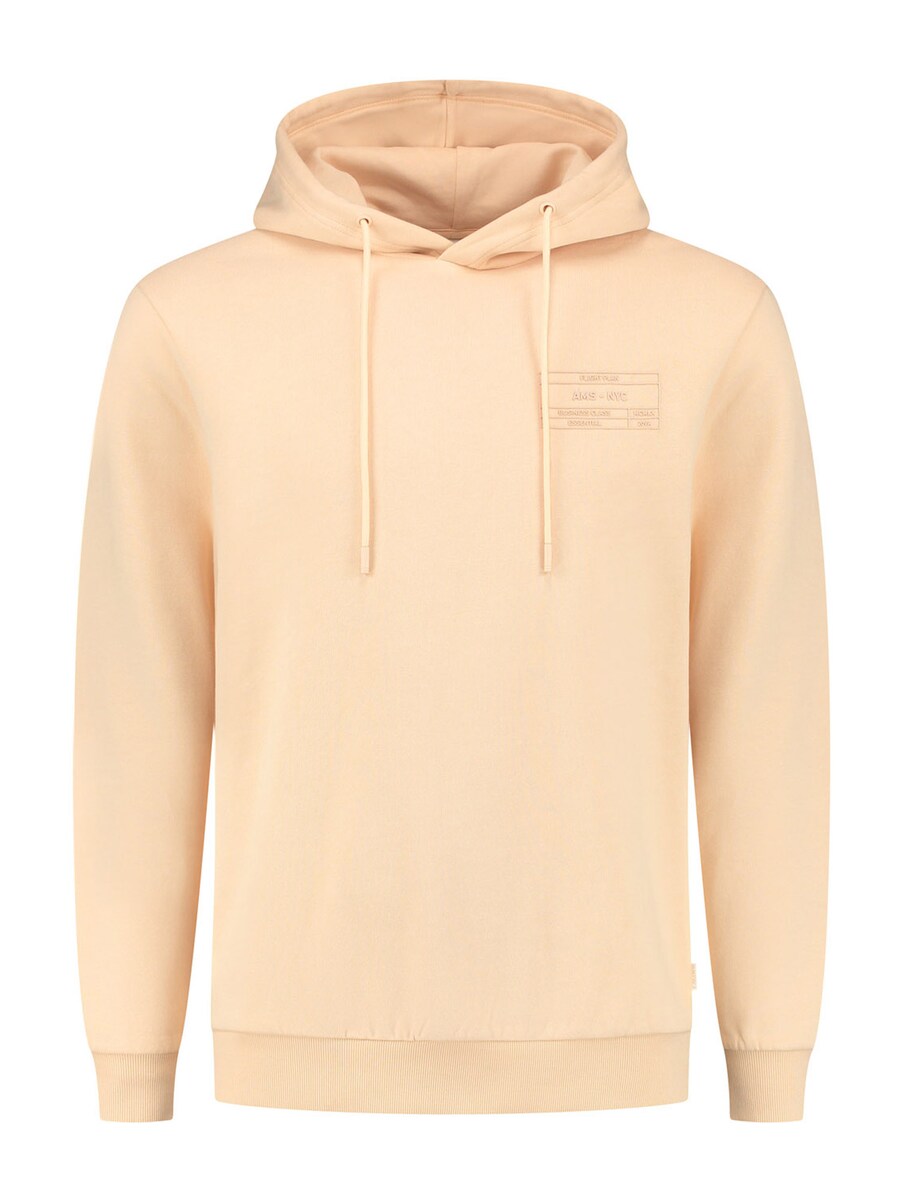 Толстовка Shiwi Flight Plan, оранжевый
Толстовка Shiwi Flight Plan, оранжевый