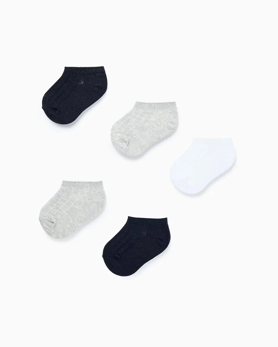 Упаковка из 5 пар гибких носков в рубчик для мальчиков Zippy, многоцветный
Упаковка из 5 пар гибких носков в рубчик для мальчиков Zippy, многоцветный