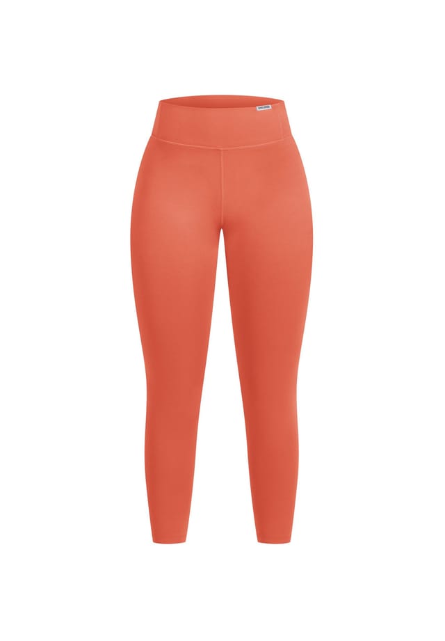 Леггинсы Advance Pro Smilodox, цвет terakotta
Леггинсы Advance Pro Smilodox, цвет terakotta