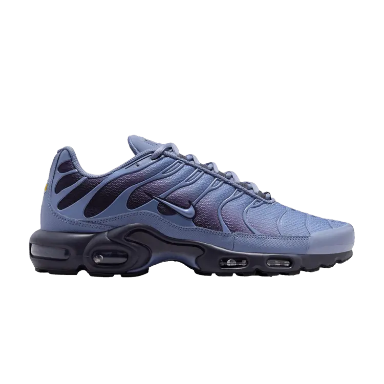 Кроссовки Nike Air Max Plus 'World Indigo', синий
Кроссовки Nike Air Max Plus 'World Indigo', синий