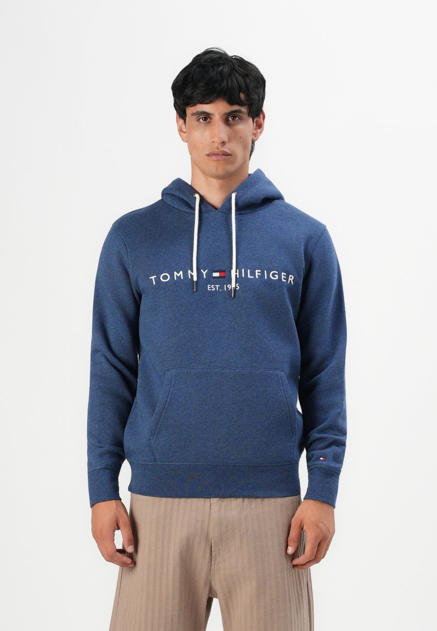Худи Tommy Hilfiger LOGO HOODY, Aegean Sea Heather/Blue
Худи Tommy Hilfiger LOGO HOODY, Aegean Sea Heather/Blue