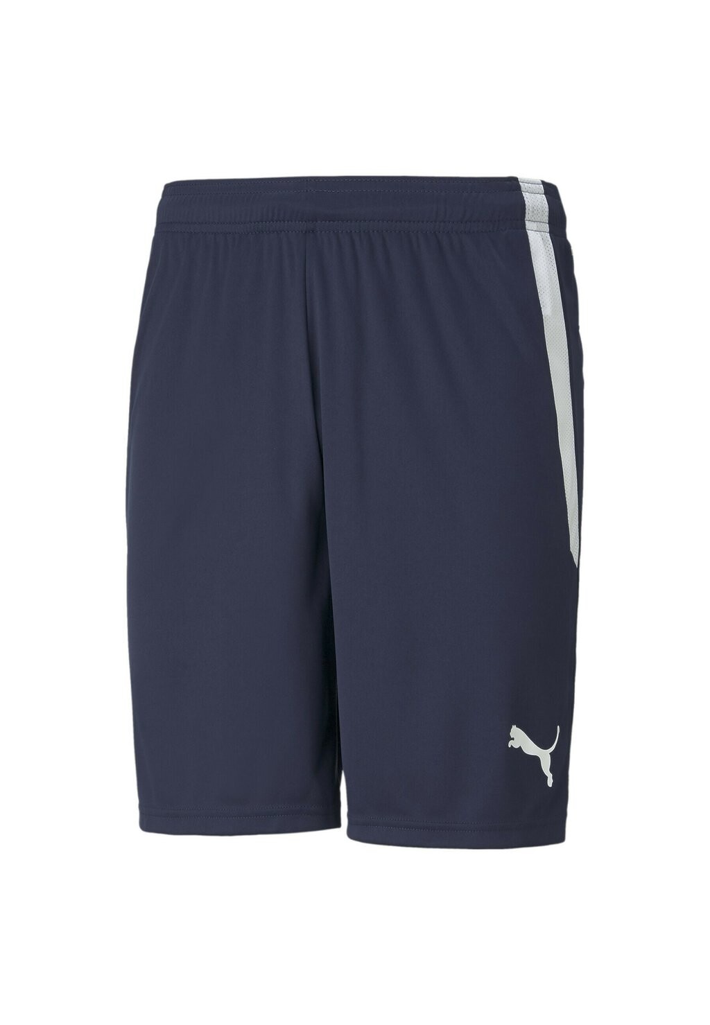 Шорты Teamliga Футбол Puma, цвет peacoat puma white
Шорты Teamliga Футбол Puma, цвет peacoat puma white