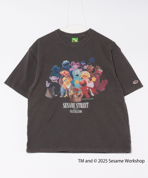 Футболка с принтом, коллаборация Sesame Street и Fruit of the Loom
Футболка с принтом, коллаборация Sesame Street и Fruit of the Loom
