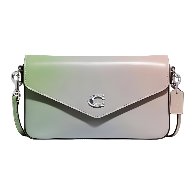 Сумка-конверт Wyn Leather, через плечо, кроссбоди среднего размера для женщин градиентная COACH
Сумка-конверт Wyn Leather, через плечо, кроссбоди среднего размера для женщин градиентная COACH