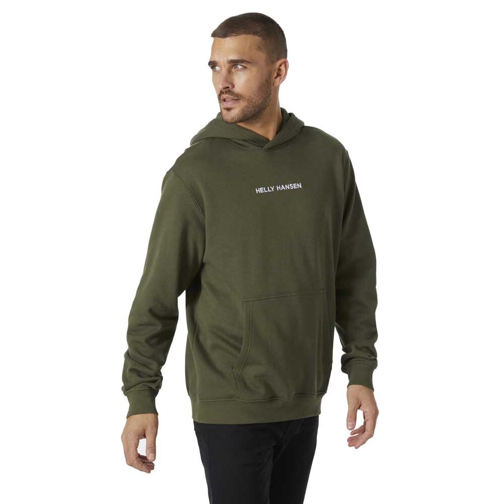 Худи Helly Hansen Core Graphic, зеленый
Худи Helly Hansen Core Graphic, зеленый