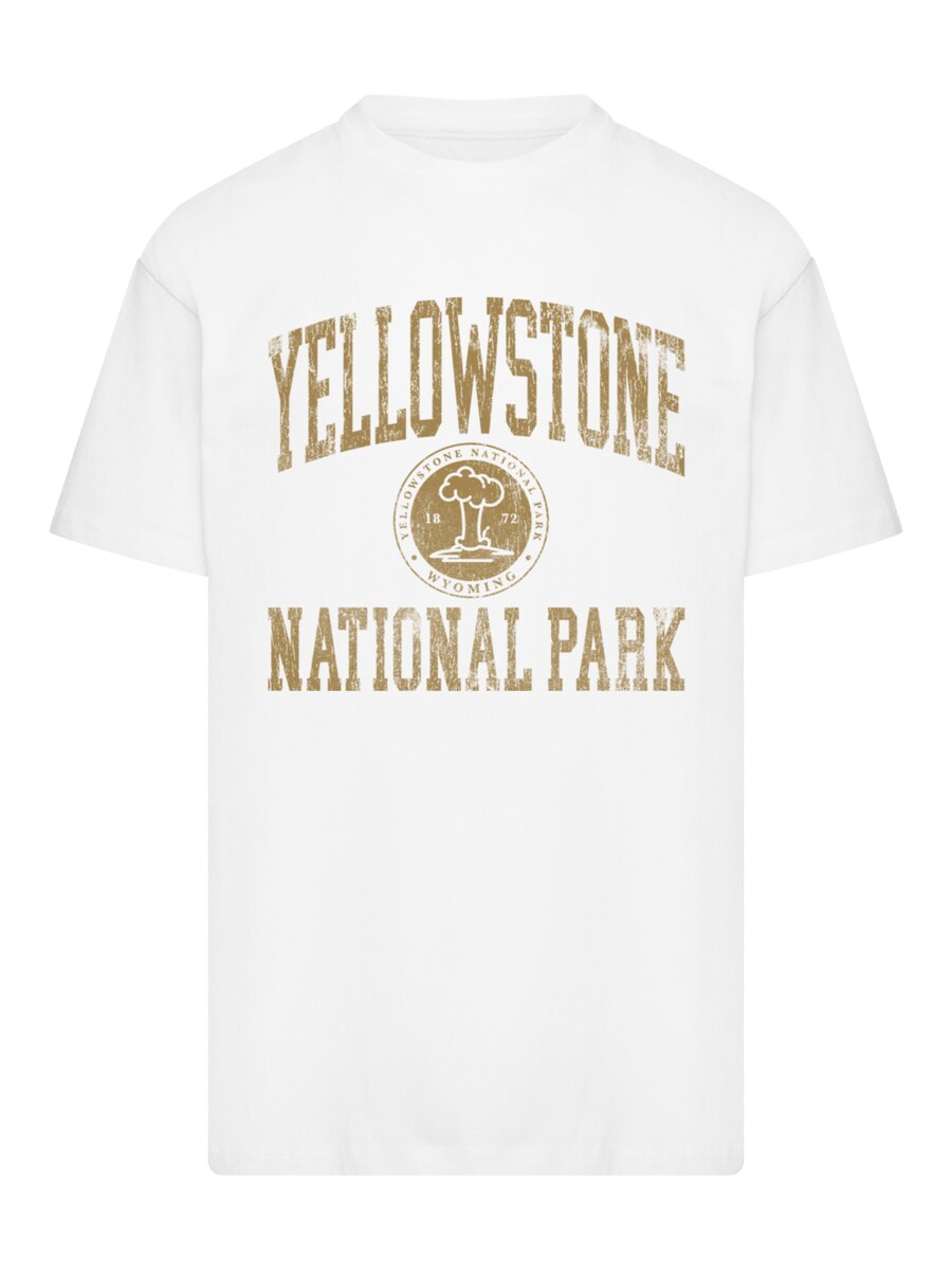 Рубашка F4NT4STIC US National Parks Yellowstone Wyoming, белый
Рубашка F4NT4STIC US National Parks Yellowstone Wyoming, белый