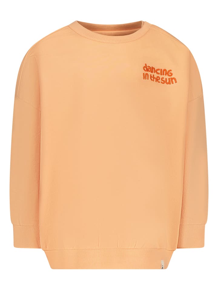 Толстовка The New Chapter
Толстовка The New Chapter