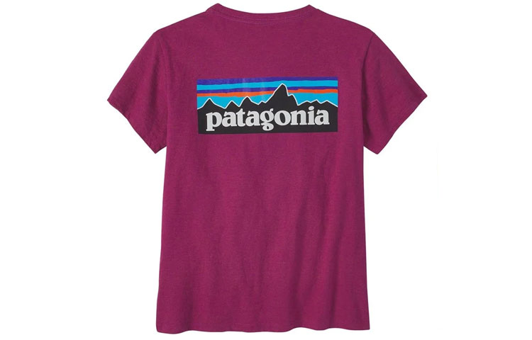 Футболка с принтом логотипа Patagonia, розовый
Футболка с принтом логотипа Patagonia, розовый