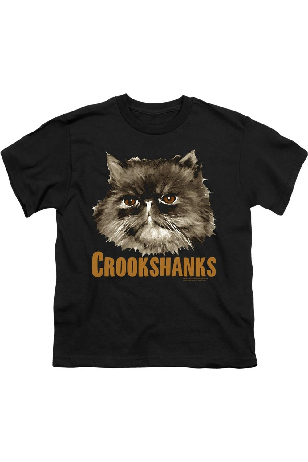 Футболка с коротким рукавом для детей Harry Potter с Коськой Gildan, черный 
Футболка с коротким рукавом для детей Harry Potter с Коськой Gildan, черный