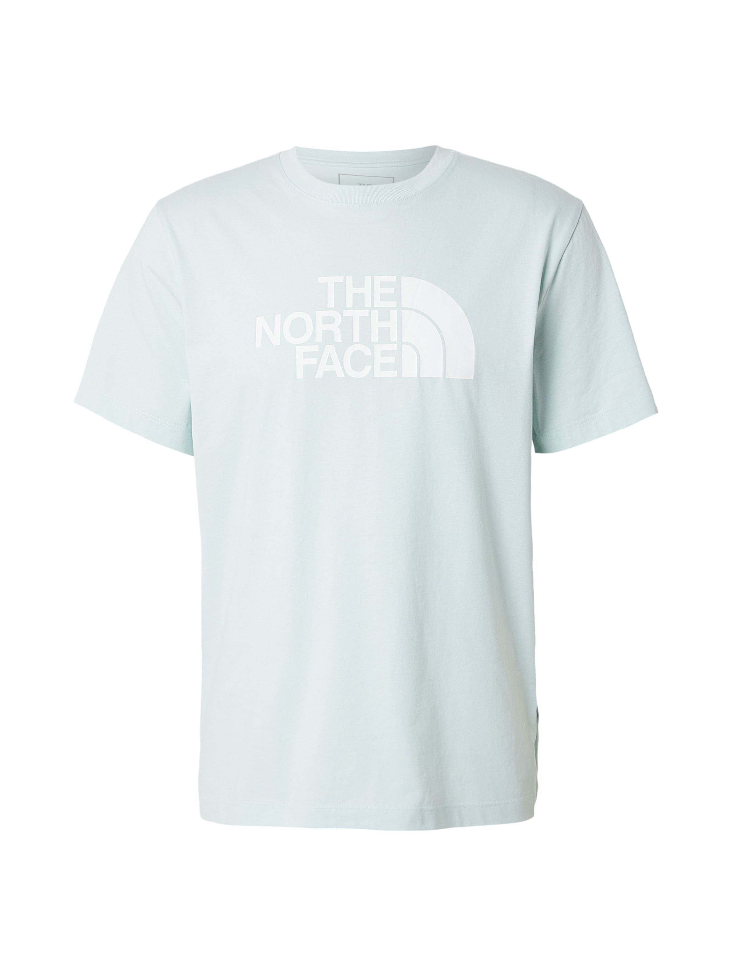 THE NORTH FACE Футболка 'EVOLUTION HALF DOME' в цвете Opal
THE NORTH FACE Футболка 'EVOLUTION HALF DOME' в цвете Opal