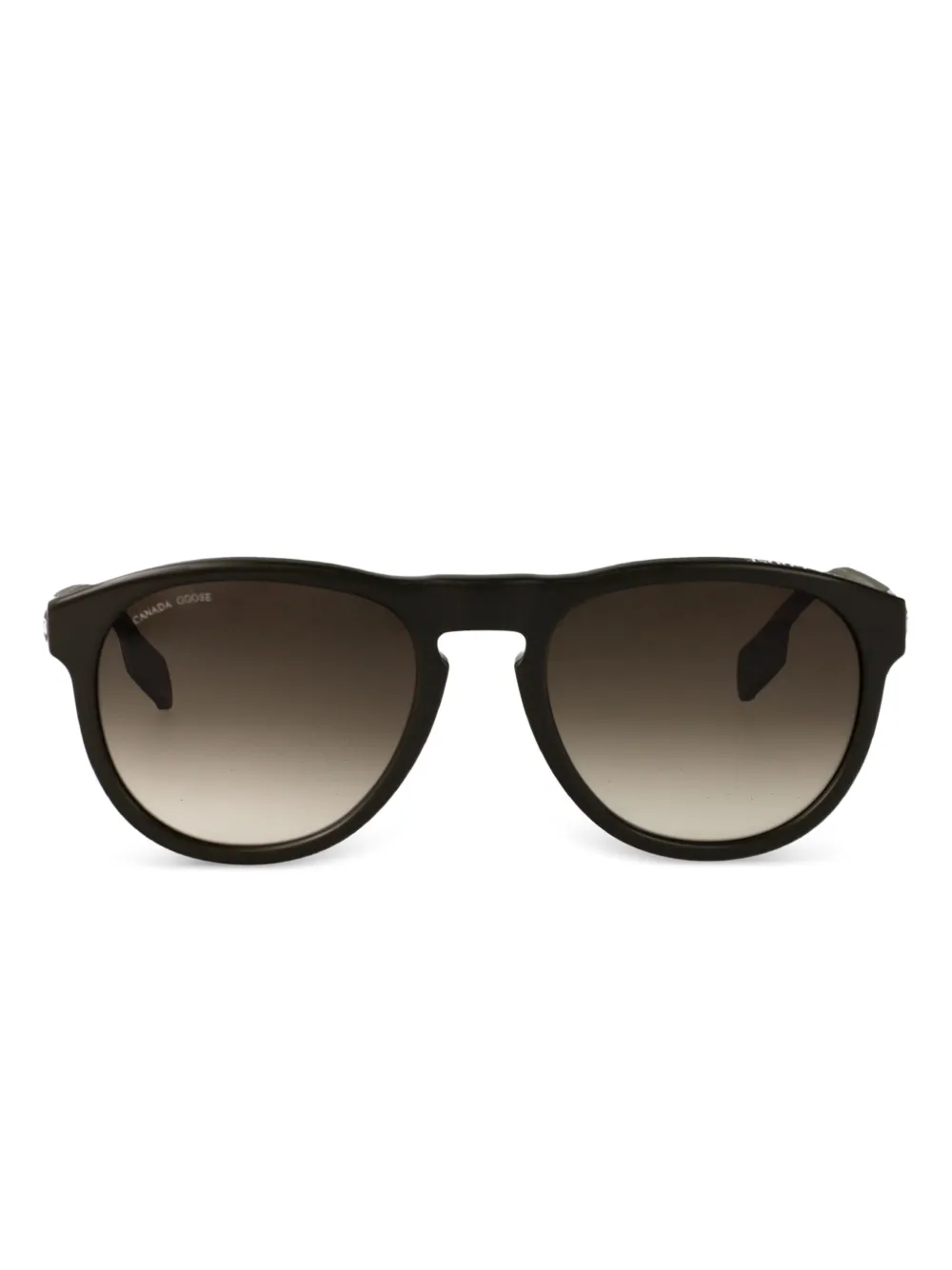 Солнцезащитные очки Skye Canada Goose, зеленый
Солнцезащитные очки Skye Canada Goose, зеленый