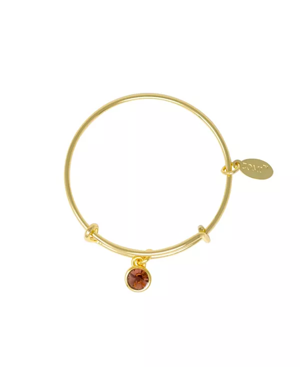 Браслет с камнями, соответствующими дате рождения, для детей Zomi Gems, february
Браслет с камнями, соответствующими дате рождения, для детей Zomi Gems, february