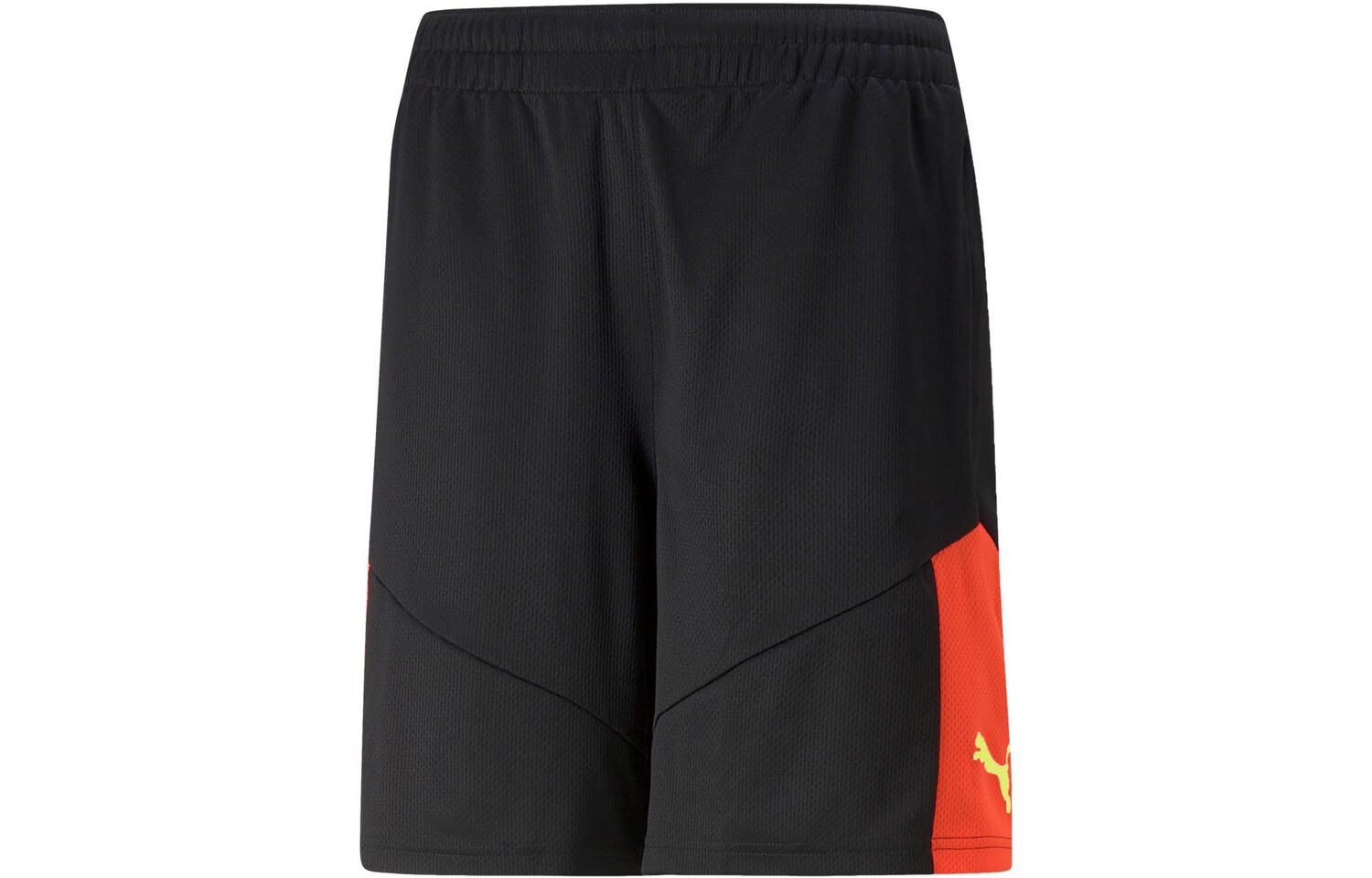 Спортивные шорты мужские черные Puma, черный
Спортивные шорты мужские черные Puma, черный