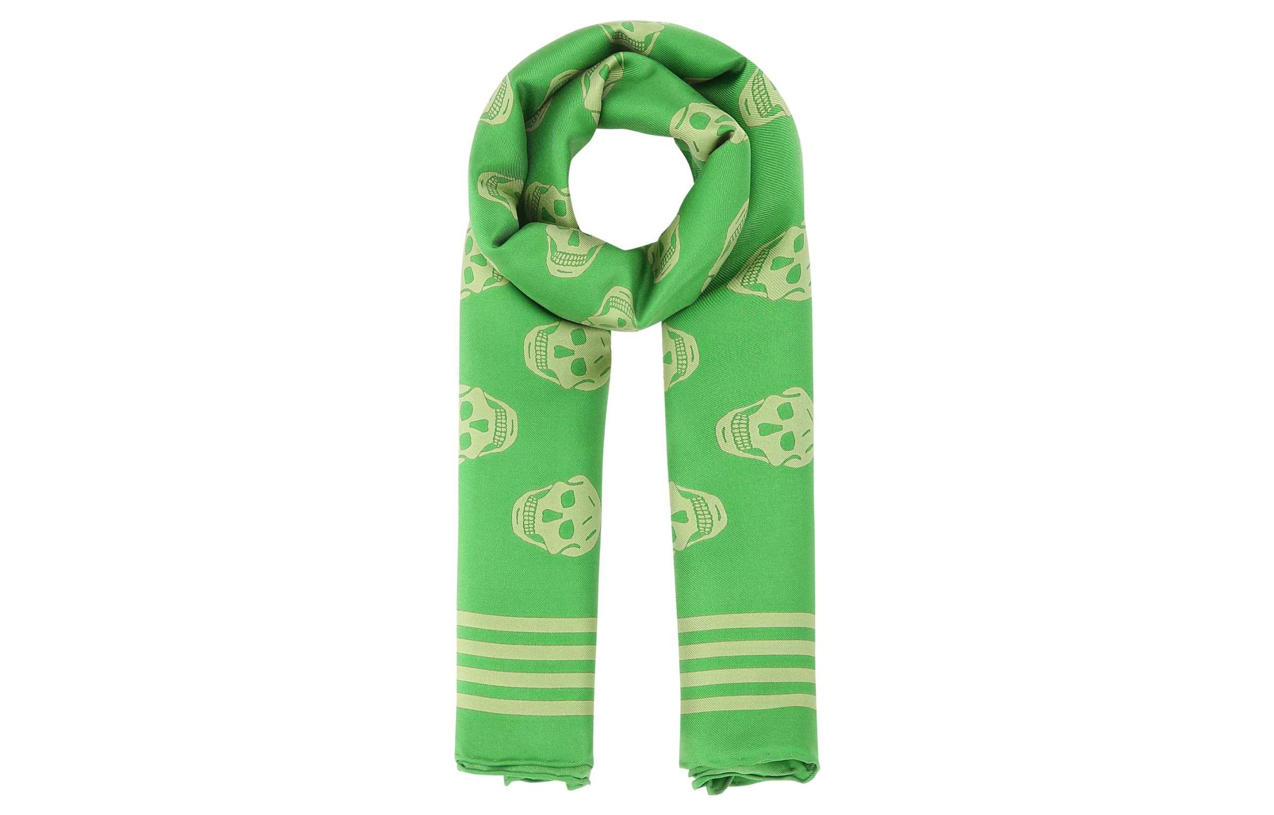 Alexander McQueen Шёлковый шёлковый шарф унисекс, Green
Alexander McQueen Шёлковый шёлковый шарф унисекс, Green