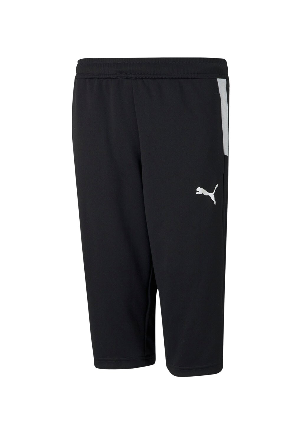 Спортивные брюки TEAMLIGA Puma, цвет schwarzweiss
Спортивные брюки TEAMLIGA Puma, цвет schwarzweiss