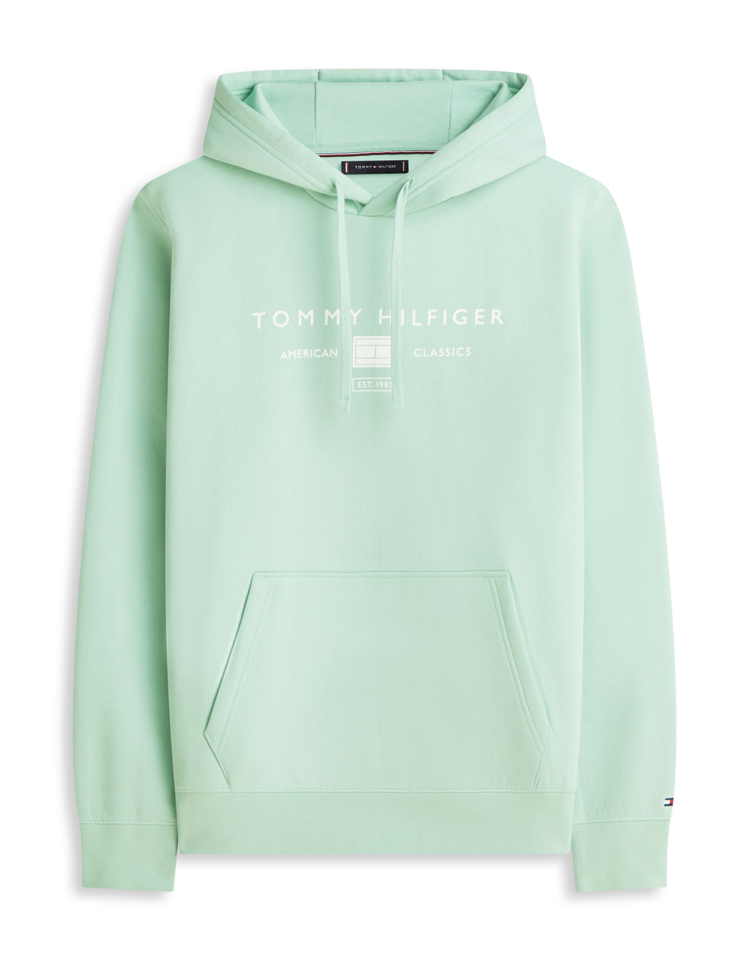 TOMMY HILFIGER Толстовка 'BRAND LOVE' в светло-зеленом цвете
TOMMY HILFIGER Толстовка 'BRAND LOVE' в светло-зеленом цвете