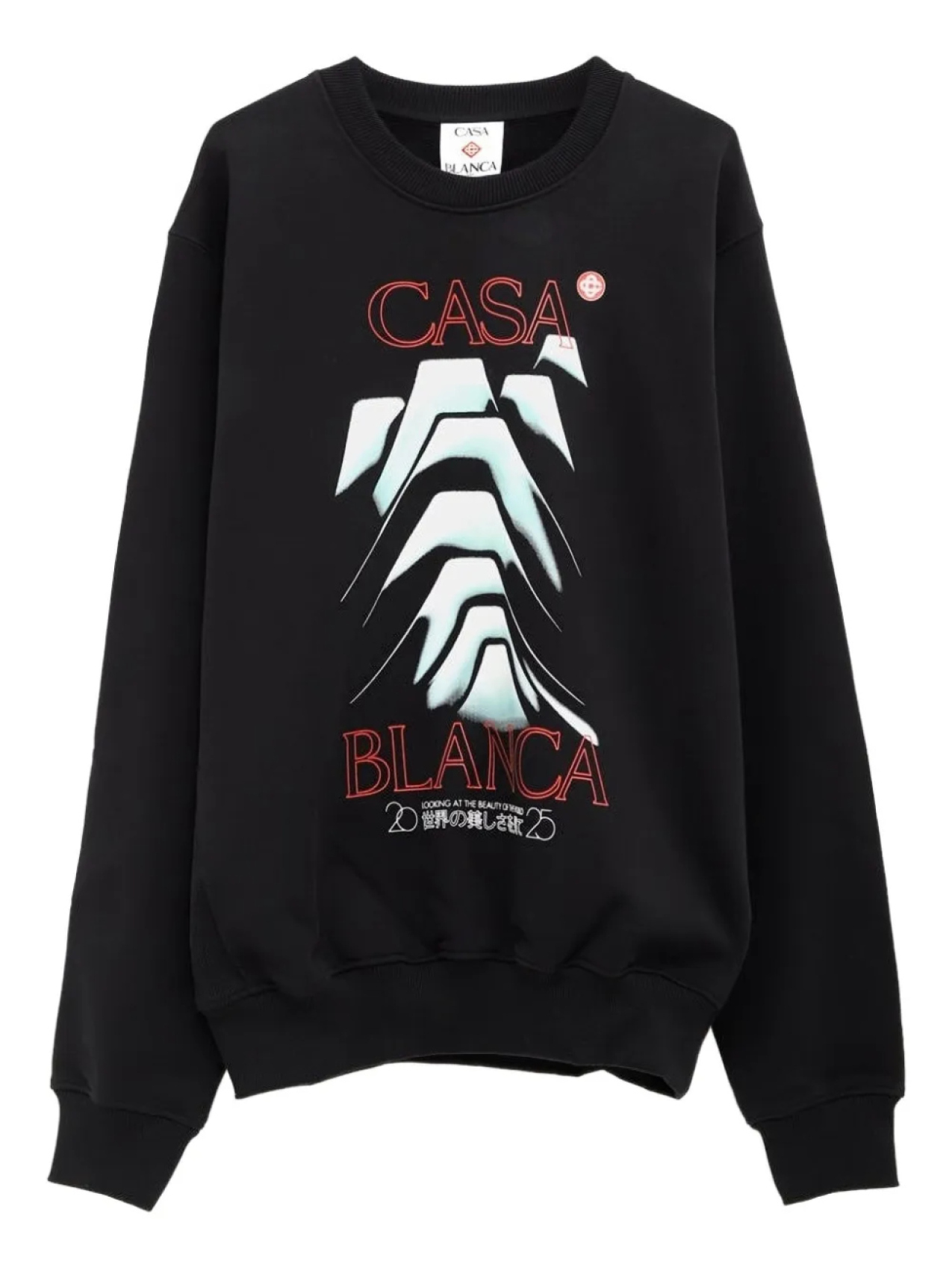 Толстовка с графическим принтом Casablanca, черный
Толстовка с графическим принтом Casablanca, черный