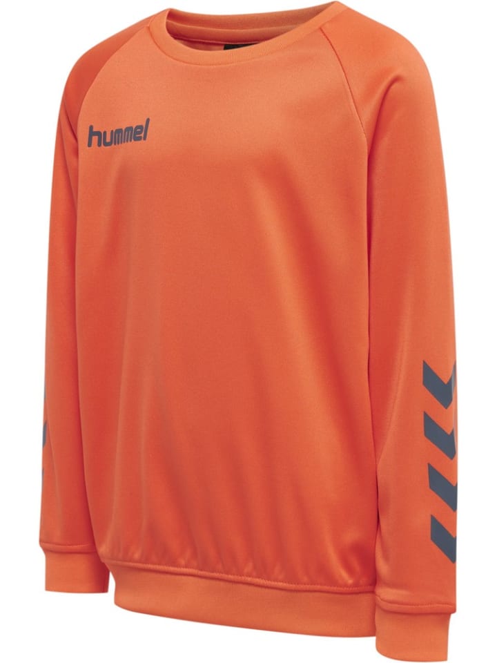 Детская толстовка "Hmlpromo" оранжевого цвета Hummel
Детская толстовка "Hmlpromo" оранжевого цвета Hummel