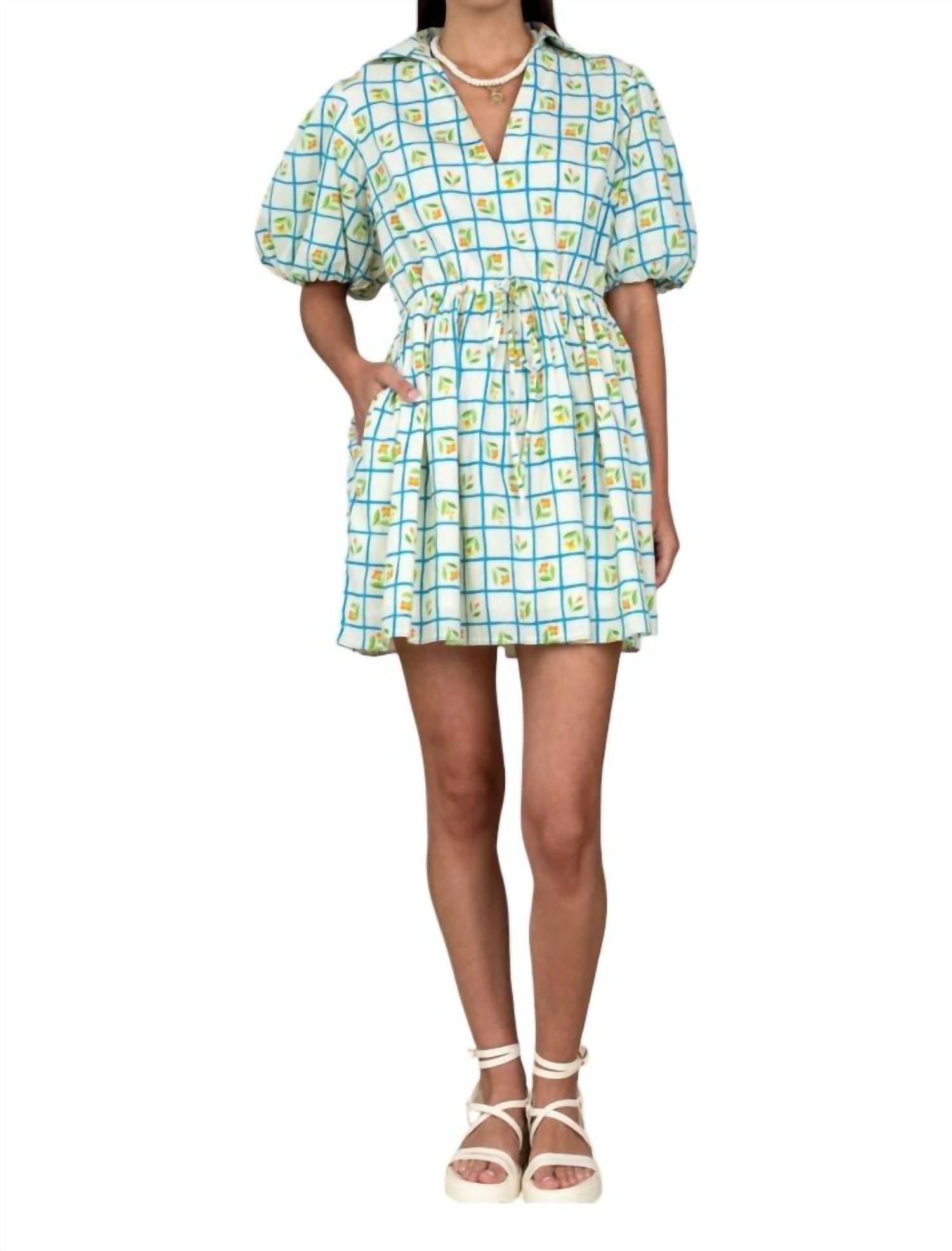 Платье Daphne в решетке Olivia James the Label, цвет trellis
Платье Daphne в решетке Olivia James the Label, цвет trellis