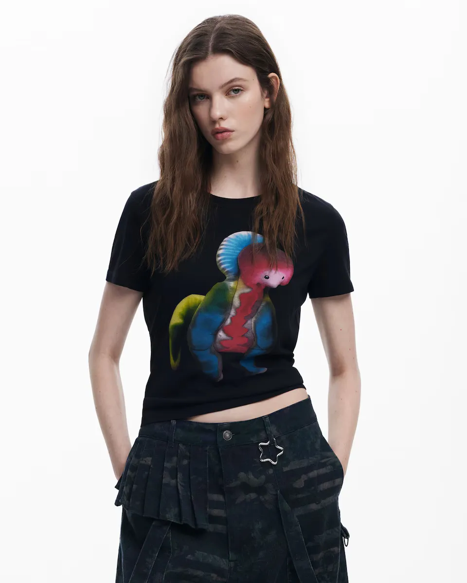 Двусторонняя женская футболка Collina Strada Desigual, черный
Двусторонняя женская футболка Collina Strada Desigual, черный