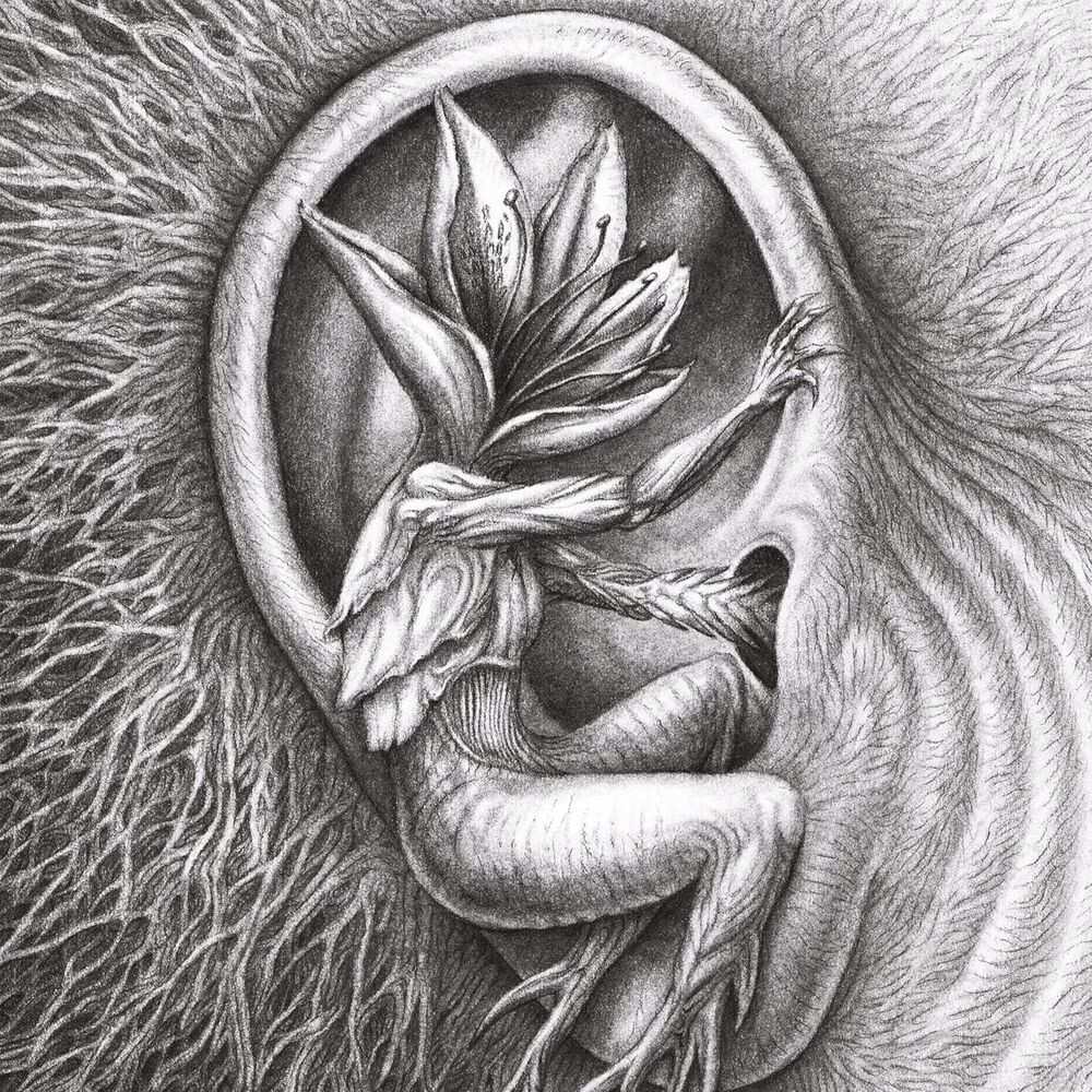 Виниловая пластинка LP III: Doom In Bloom - Botanist
Виниловая пластинка LP III: Doom In Bloom - Botanist