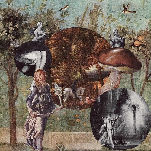 Виниловая пластинка Native Harrow: Old Kind Of Magic
Виниловая пластинка Native Harrow: Old Kind Of Magic